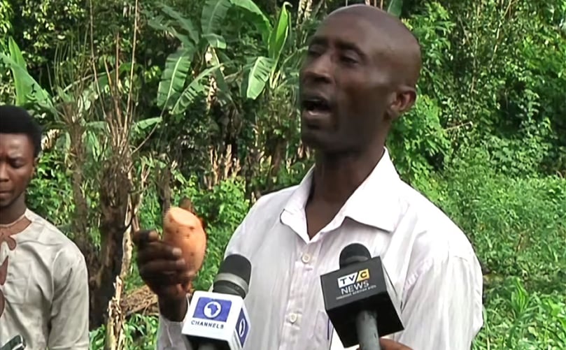 Orange-fleshed sweetpotato for improved incomes, nutrition, Nigeria