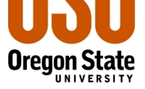 Research: Infected volunteer potato plants unlikely to spread zebra chip disease Research: Infected volunteer potato plants unlikely to spread zebra chip disease