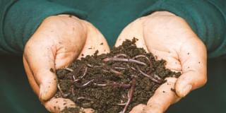 Organic Fertilizer Organic Fertilizer