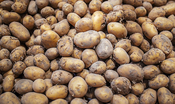 Disruptions in the potato sector