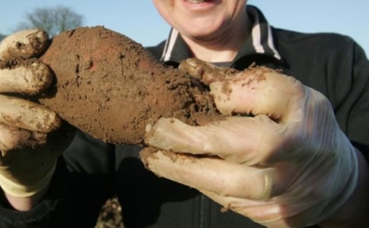 Irish Organic Farmers protest over delayed payments Irish Organic Farmers protest over delayed payments