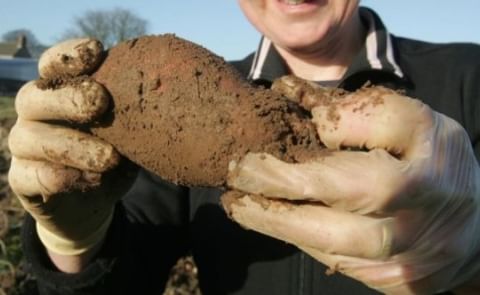 Irish Organic Farmers protest over delayed payments Irish Organic Farmers protest over delayed payments