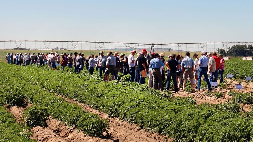 More than 130 potato industry professionals from the U.S., Canada and India learned about the challenges of detecting new potato viruses in a workshop hosted by the WSU Othello Research Farm in June 2016 (Courtesy: Washington State University).