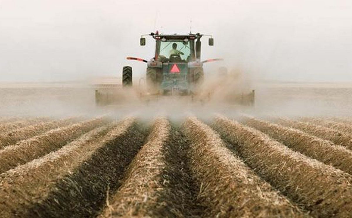 Estimates of Canadian Potato Production by Statistics Canada: a slightly lower overall production, but&nbsp;huge regional changes
