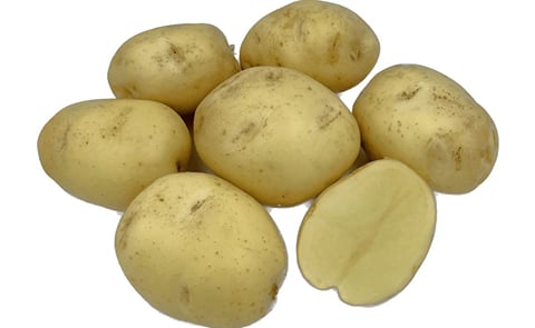 OXANIA OXANIA