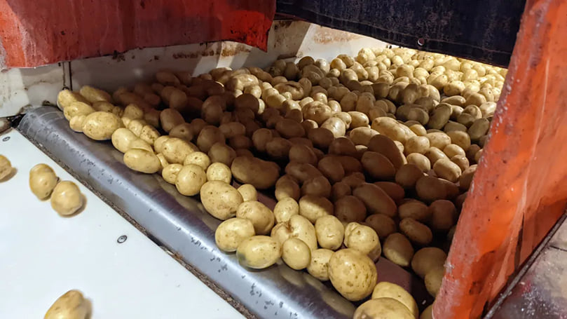 The U.S. border reopened to some P.E.I. potatoes in April. (Courtesy: CBC) The U.S. border reopened to some P.E.I. potatoes in April. (Courtesy: CBC)
