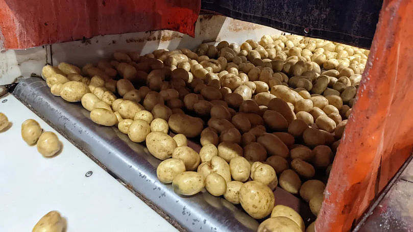 The U.S. border reopened to some P.E.I. potatoes in April. (Courtesy: CBC)