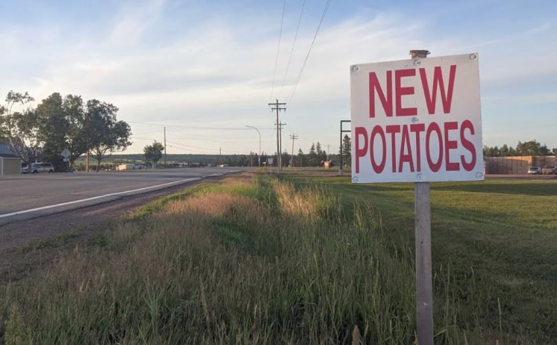 New potatoes New potatoes
