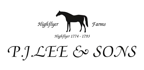 P.J. Lee & Sons P.J. Lee & Sons