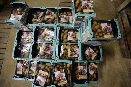 Packaged potatoes from the Salty Potato Farm Packaged potatoes from the Salty Potato Farm