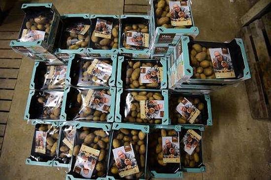 Packaged potatoes from the Salty Potato Farm Packaged potatoes from the Salty Potato Farm