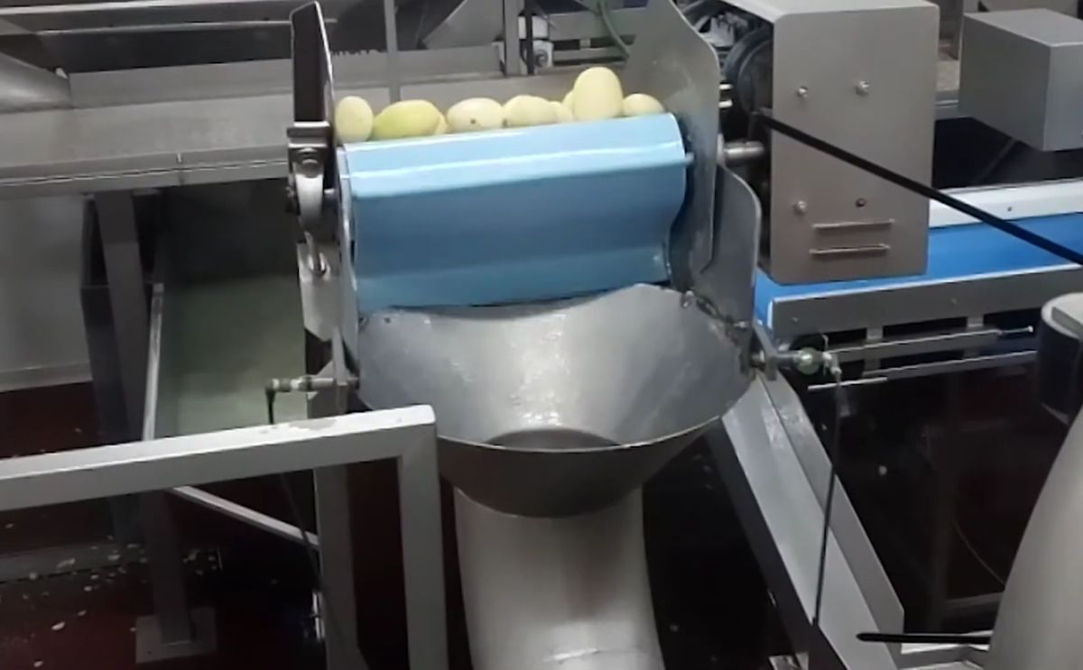  Cutting potatoes with the Packo VPCP vegetable pump