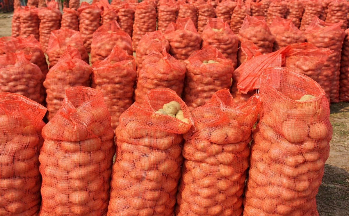Pakistan can export up to one million tons of potatoes