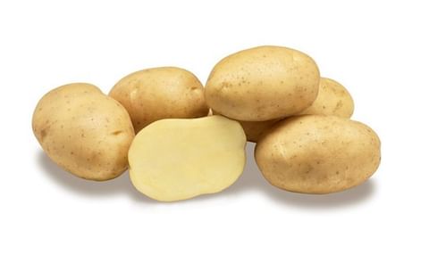 palace-b-agrico-nl-hr-2020-1200.jpg palace-b-agrico-nl-hr-2020-1200.jpg