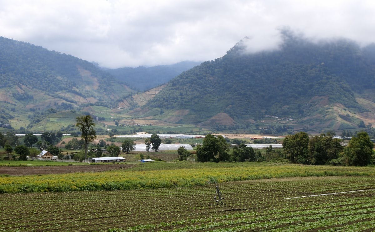 Research suggests highland farmers in Panama could start growing potatoes Research suggests highland farmers in Panama could start growing potatoes