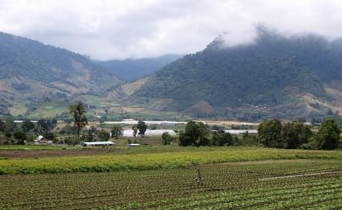 Agriculture in Panama Agriculture in Panama