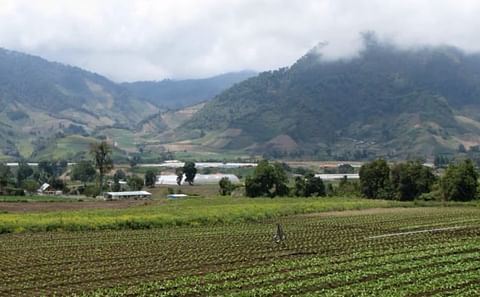 Agriculture in Panama