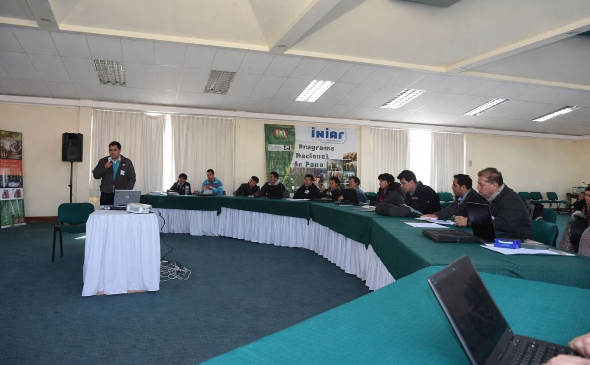 INIAF de Bolivia y el CIP identifican acciones para fortalecer el Programa Nacional de Papa
