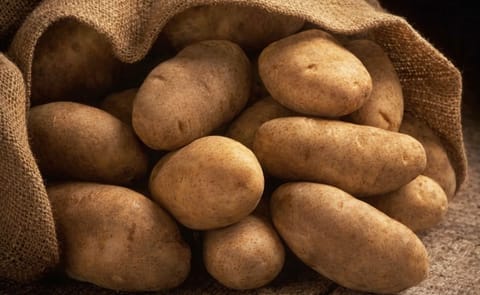 Definen acciones para impulsar la innovación agrícola en Centroamérica Definen acciones para impulsar la innovación agrícola en Centroamérica