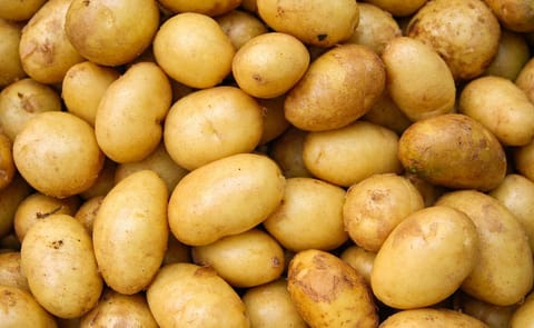 España: Canarias recibirá papa británica sin haber vendido la suya España: Canarias recibirá papa británica sin haber vendido la suya