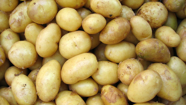 España: Canarias recibirá papa británica sin haber vendido la suya 