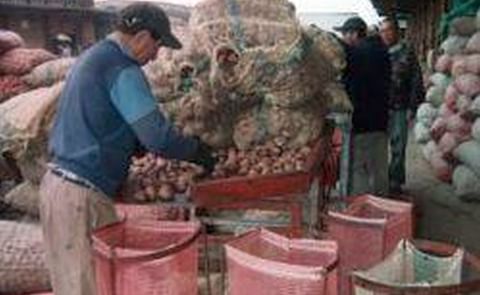 Comerciando papa en la central de abastos de Bogotá Comerciando papa en la central de abastos de Bogotá