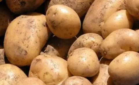 ¿Dumping en papa? ¿Dumping en papa?