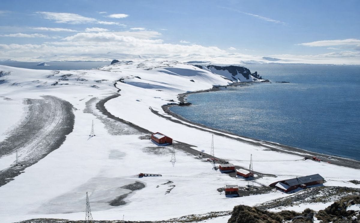 Papa en desiertos gracias a microorganismos de la Antártida