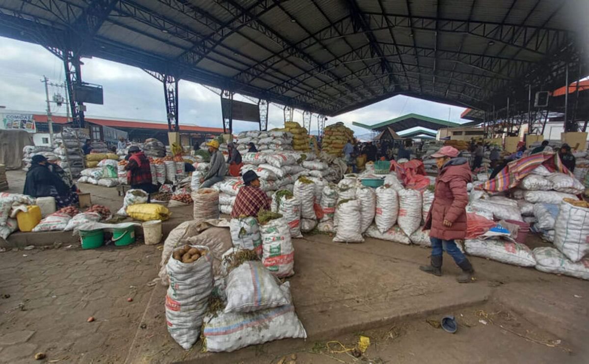 El precio de la papa en Ecuador aumentó más de un 30% en el último mes