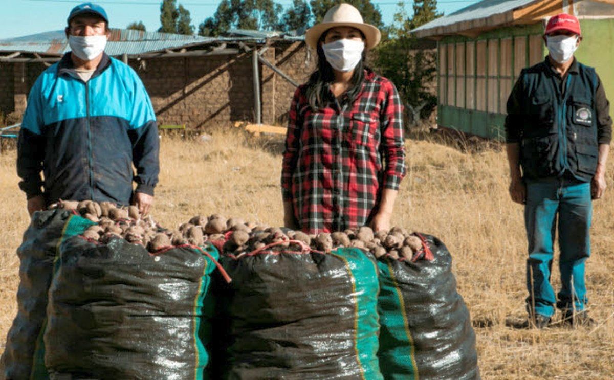 Se busca promover el consumo de la papa peruana y destacar el trabajo de más de 711 mil familias dedicadas al cultivo de este tubérculo. En el Perú se producen más de 3500 variedades de papa.