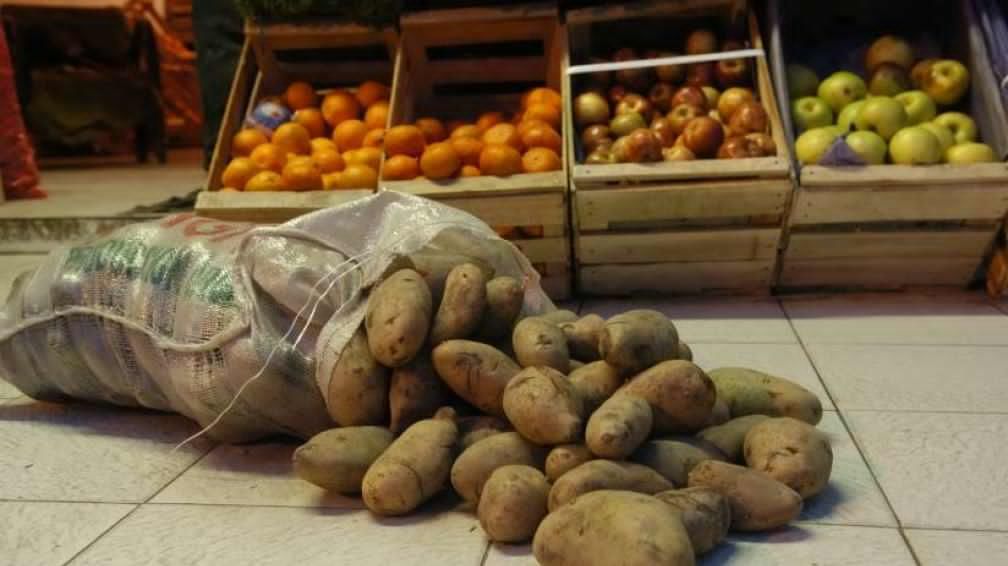 Chile: Detectan venta de papa argentina en área libre de plagas