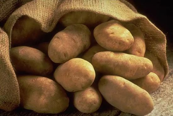 Definen acciones para impulsar la innovación agrícola en Centroamérica