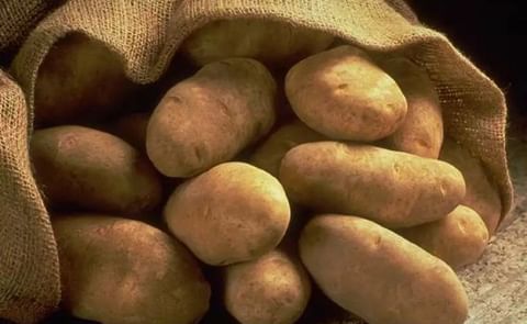 Definen acciones para impulsar la innovación agrícola en Centroamérica Definen acciones para impulsar la innovación agrícola en Centroamérica