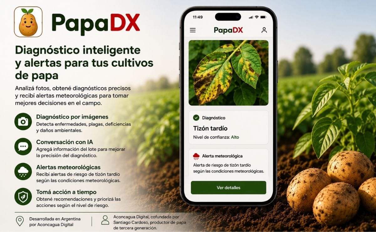 PapaDX utiliza inteligencia artificial para analizar imágenes del cultivo de papa, apoyar el diagnóstico en campo y generar alertas de riesgo basadas en las condiciones meteorológicas.
