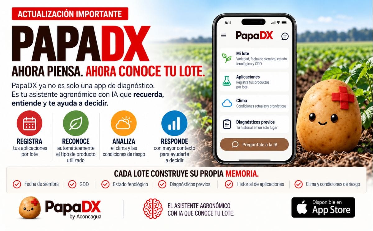 PapaDX incorpora memoria por lote, permitiendo que su asistente agronómico con IA utilice el historial del cultivo, aplicaciones, clima, GDD, estado fenológico y diagnósticos previos para brindar asistencia más contextualizada a productores de papa.