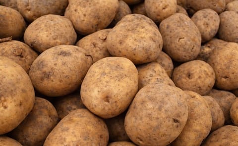 Venezuela: La papa registró un aumento de producción de más del 300% Venezuela: La papa registró un aumento de producción de más del 300%