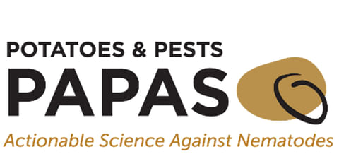 USDA SCRI funds new research: potatoes and pests – actionable science against nematodes