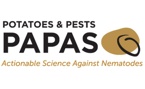 Potatoes and Pests – Actionable Science Against Nematodes (nicknamed PAPAS) Potatoes and Pests – Actionable Science Against Nematodes (nicknamed PAPAS)