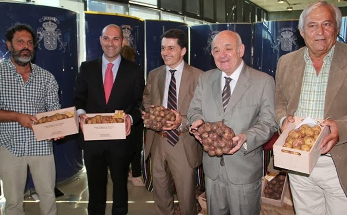 A la venta las primeras Papas Antiguas de Canarias con Denominación de Origen A la venta las primeras Papas Antiguas de Canarias con Denominación de Origen