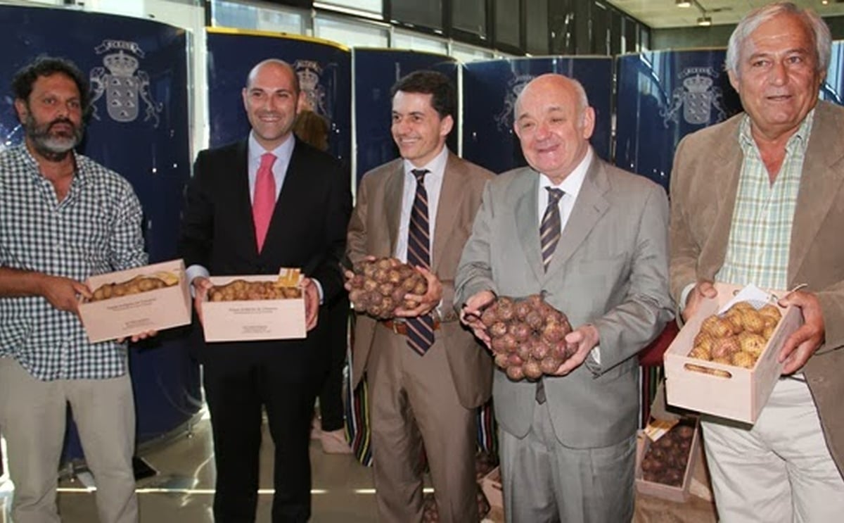 A la venta las primeras Papas Antiguas de Canarias con Denominación de Origen A la venta las primeras Papas Antiguas de Canarias con Denominación de Origen