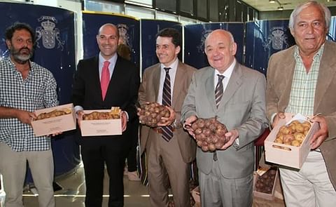 Representantes políticos y del sector agrícola presentan la DO Papas Antiguas de Canarias Representantes políticos y del sector agrícola presentan la DO Papas Antiguas de Canarias