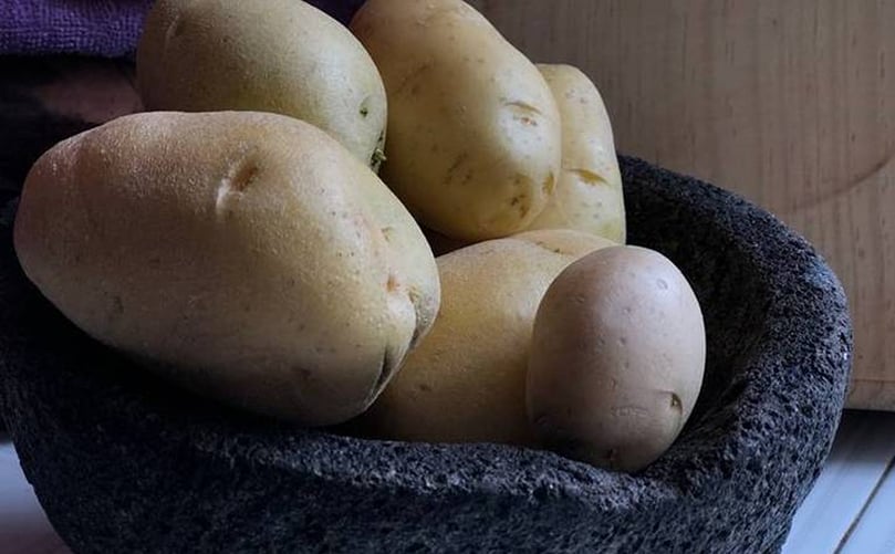 El Cultivo de la papa va a la baja (Cortesía: El Sol de Zamora) El Cultivo de la papa va a la baja (Cortesía: El Sol de Zamora)