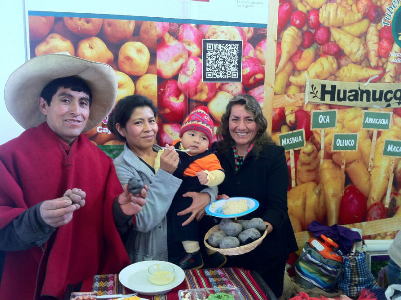 Papas fortificadas prometen mejorar salud de las familias rurales