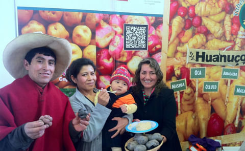 Papas fortificadas prometen mejorar salud de las familias rurales Papas fortificadas prometen mejorar salud de las familias rurales