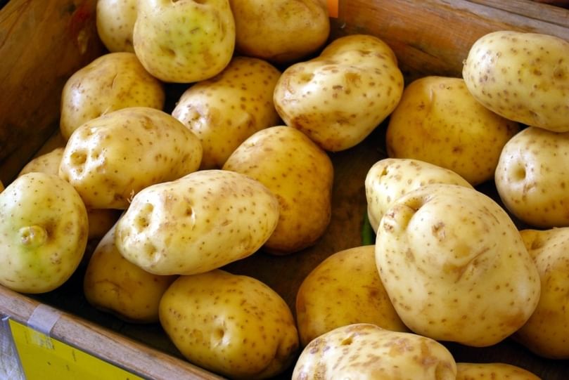 Papas híbridas podrían salvarnos de la hambruna