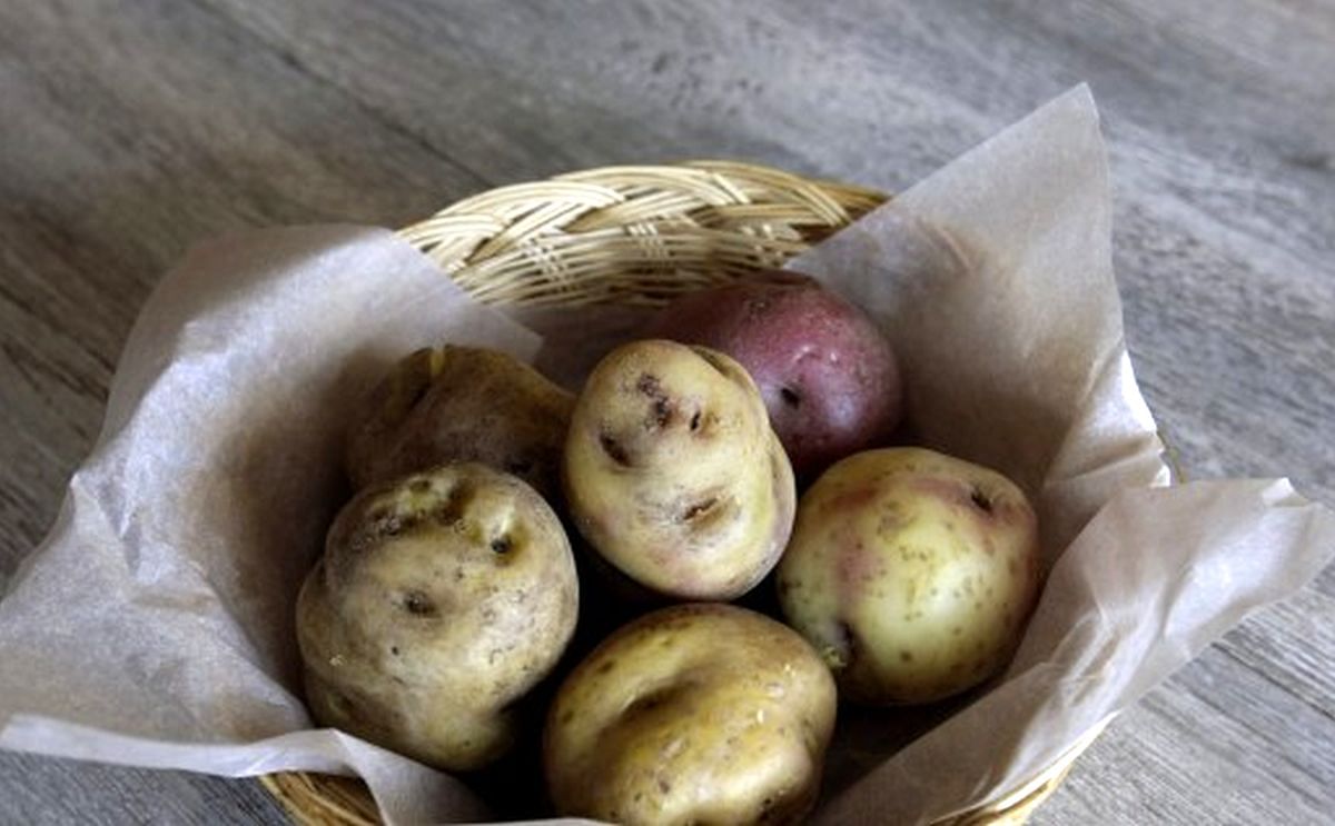 Perú pide asistencia técnica a China para hacer fideos de papa Perú pide asistencia técnica a China para hacer fideos de papa