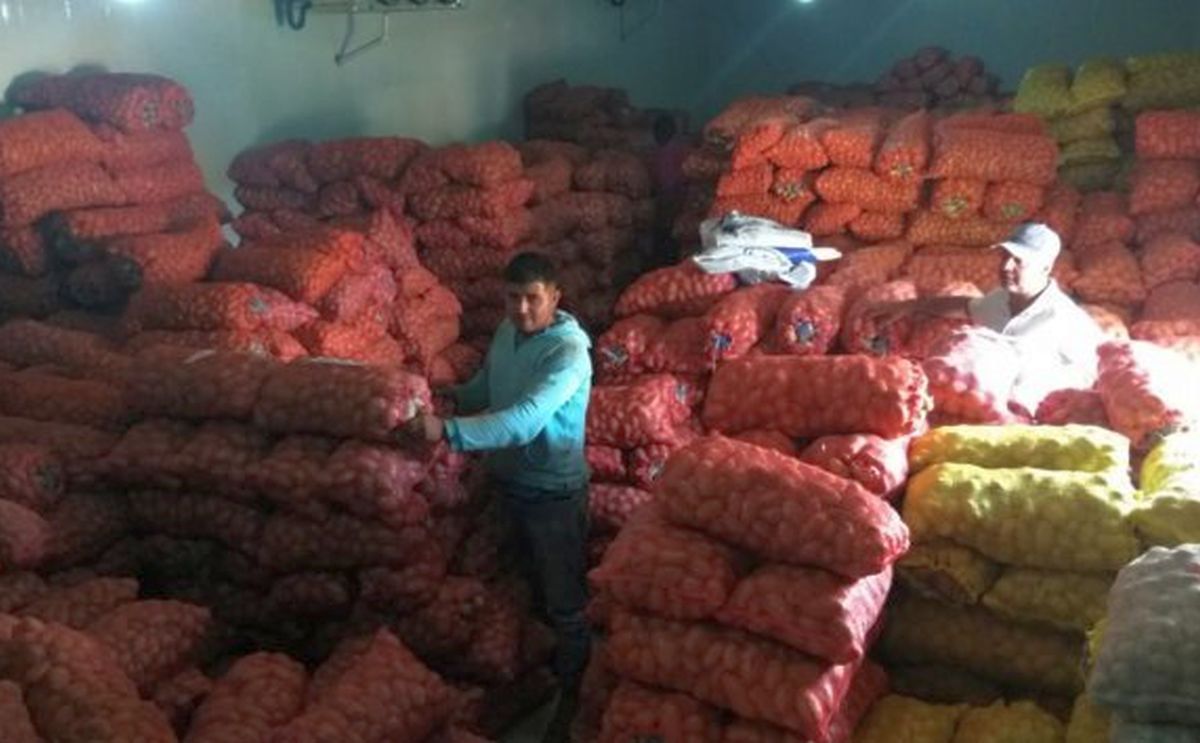 La papa nacional empieza a pudrirse por la escasa venta La papa nacional empieza a pudrirse por la escasa venta