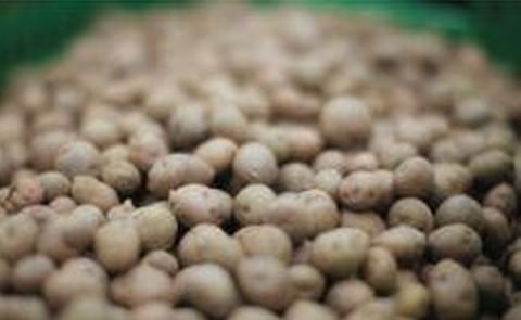 Colombia: Buenas prácticas para la producción de mejor papa Colombia: Buenas prácticas para la producción de mejor papa