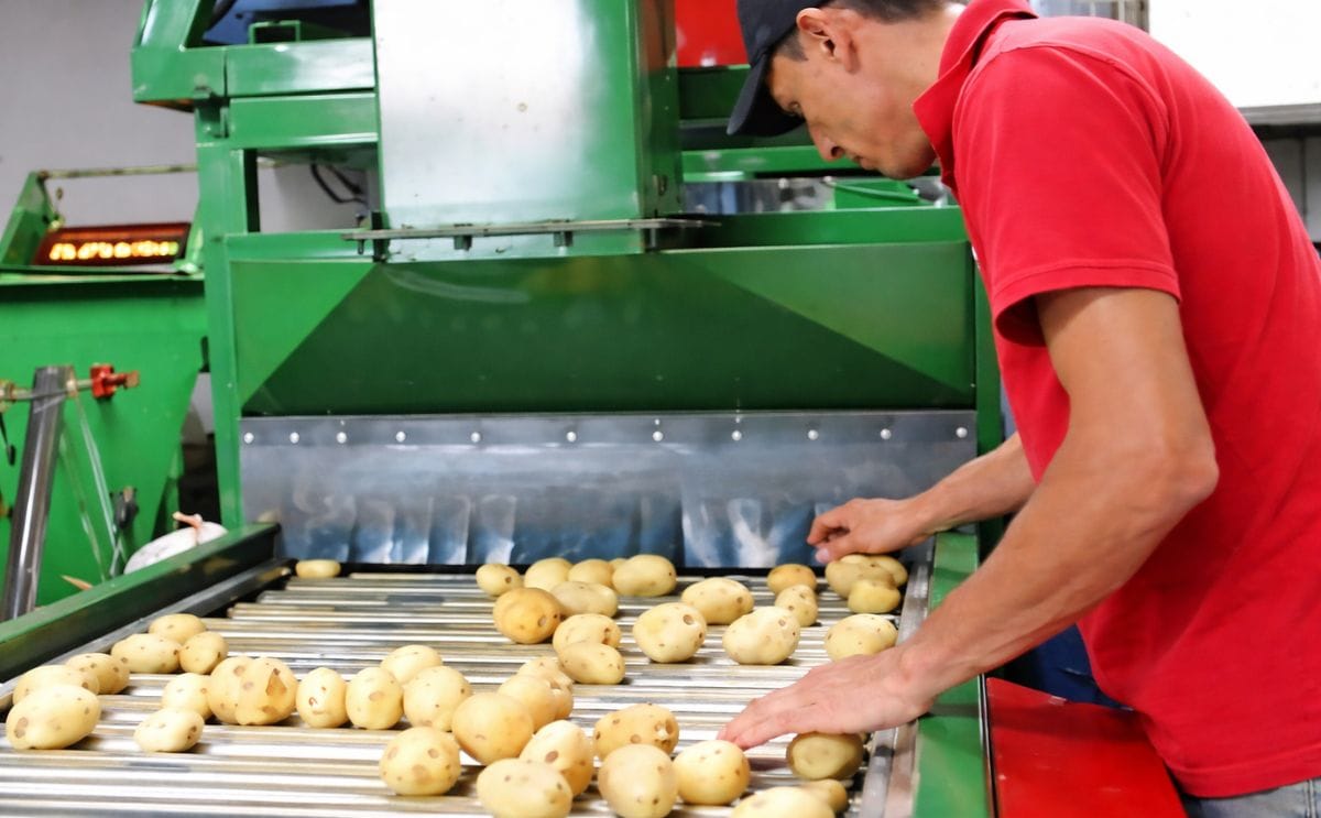 Paperos e instituciones agrícolas de Costa Rica forman consorcio de innovación