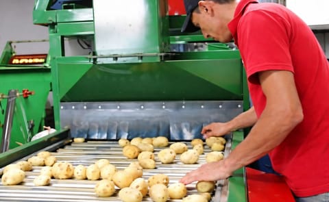 Paperos e instituciones agrícolas de Costa Rica forman consorcio de innovación Paperos e instituciones agrícolas de Costa Rica forman consorcio de innovación